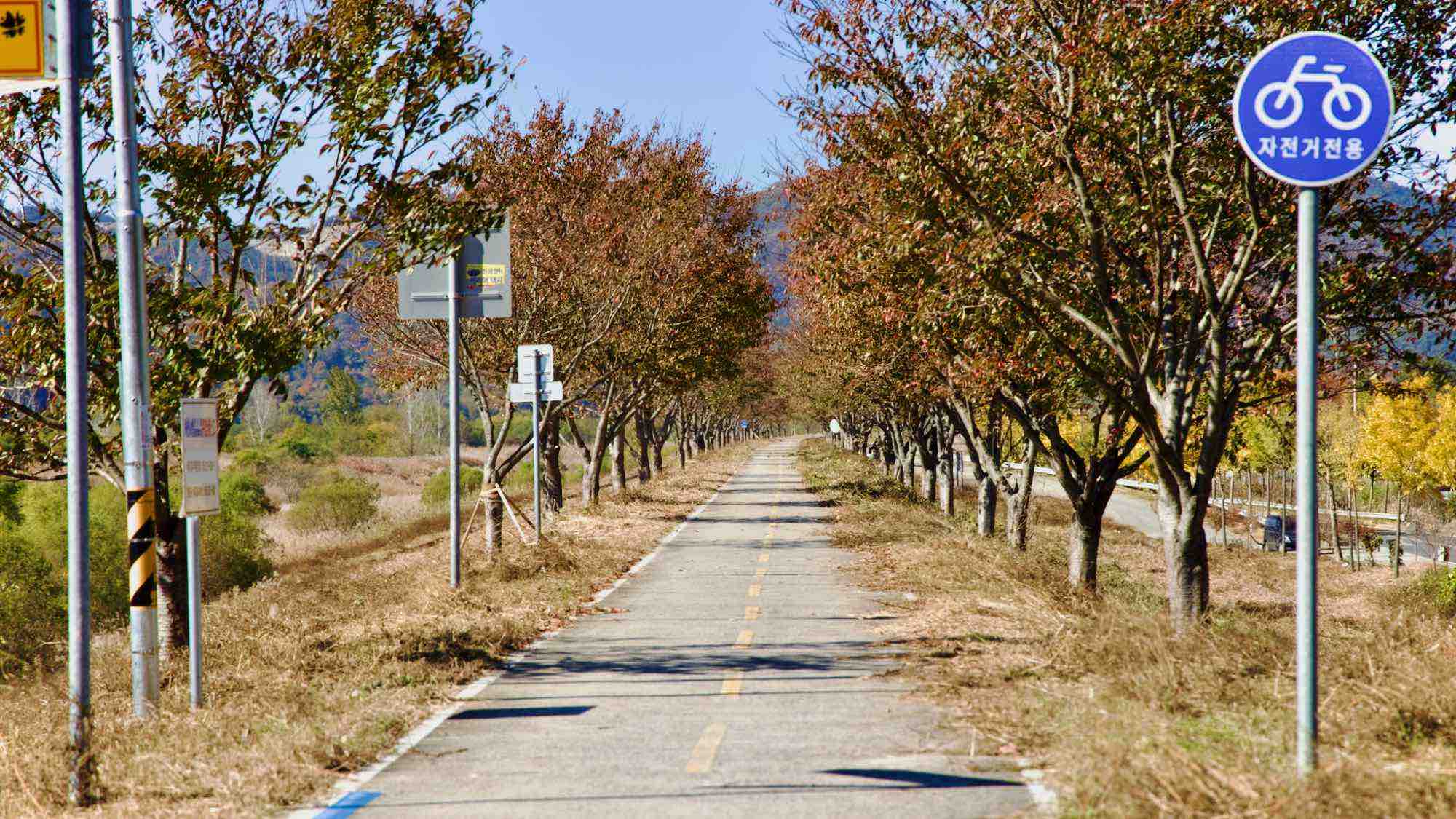 A picture of the Nakdonggang Bike Path (낙동강자전거길) in Changnyeong County, South Korea.