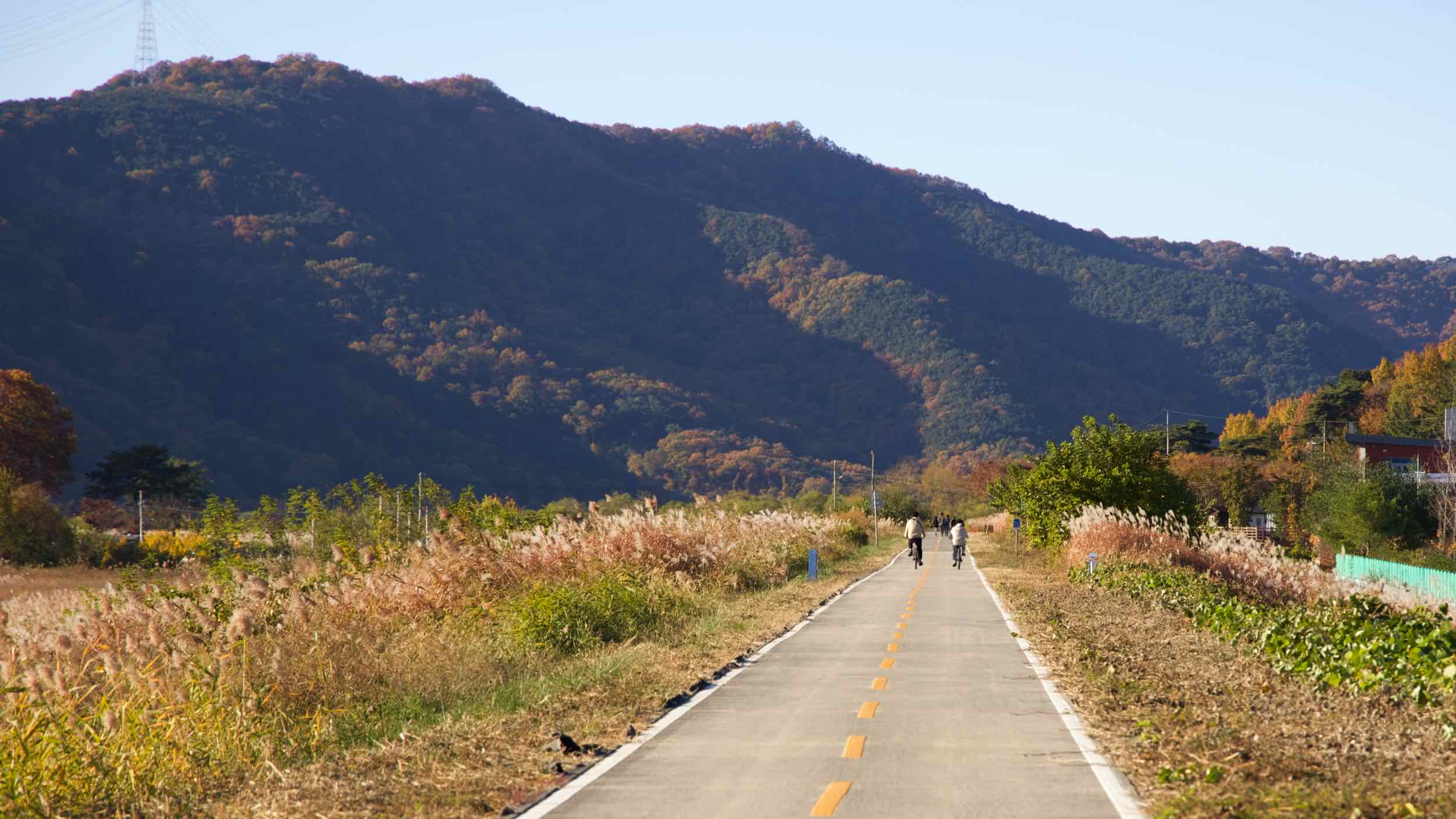 Nakdonggang Bike Path - Daegu Changnyeong - Dalseong County Bike Path near Nakdong River Leports Valley