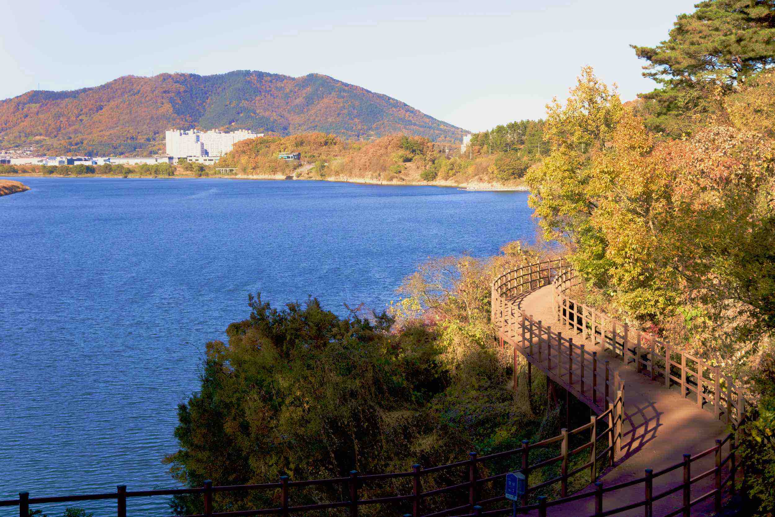 A picture of the Nakdonggang Bike Path (낙동강자전거길) along the Nakdong River in Dalseong Country, South Korea.