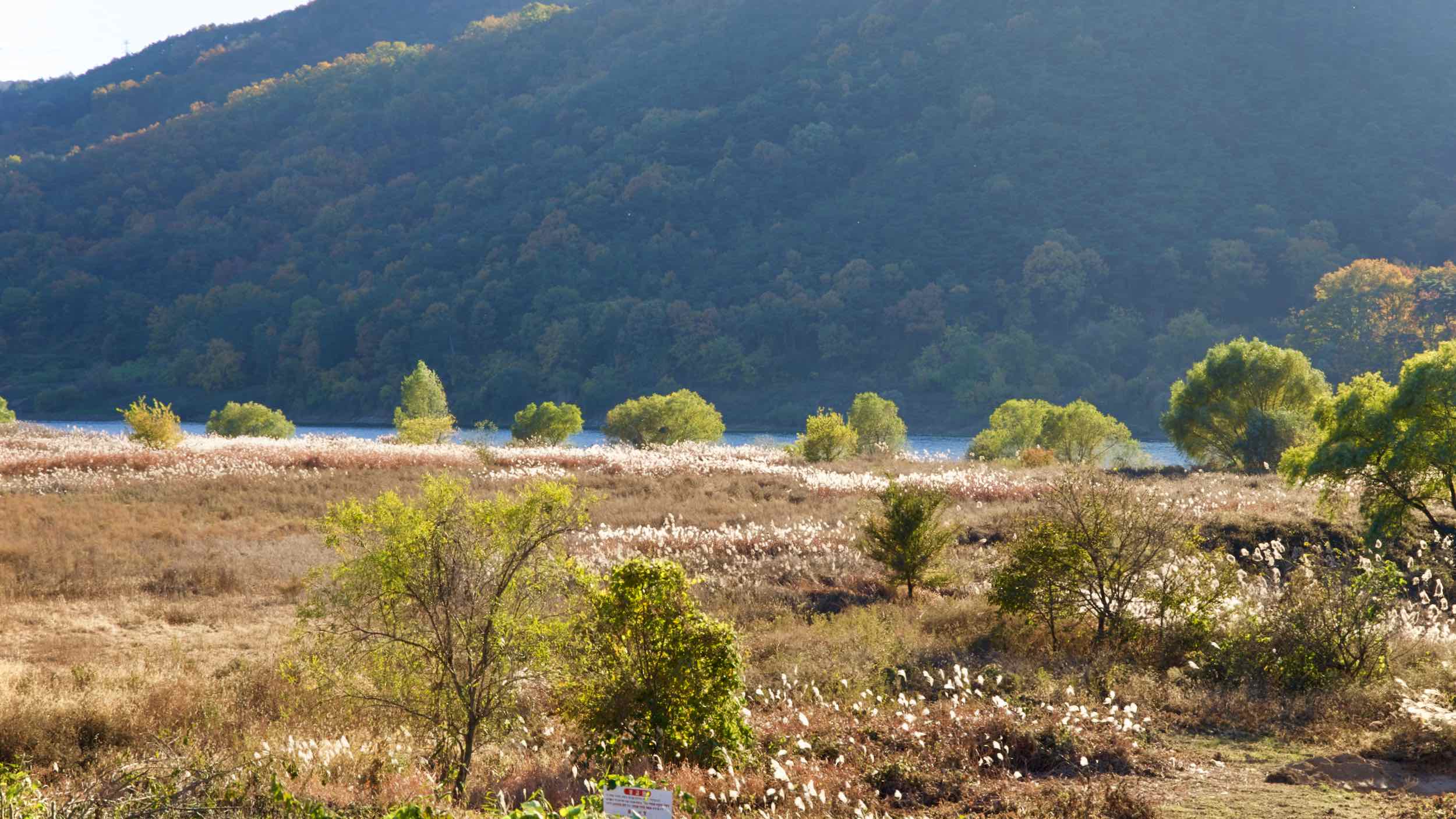 Nakdonggang Bike Path - Daegu Changnyeong - Dalseong County Mountain River and Trees