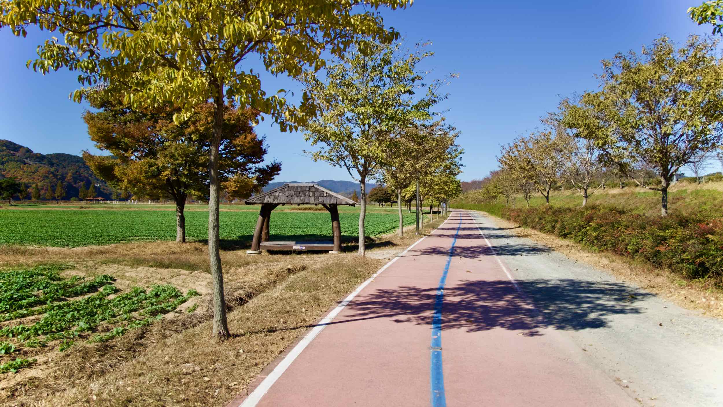 A picture of a riverside park in Namji Town along the Nakdong River in Changnyeong County.