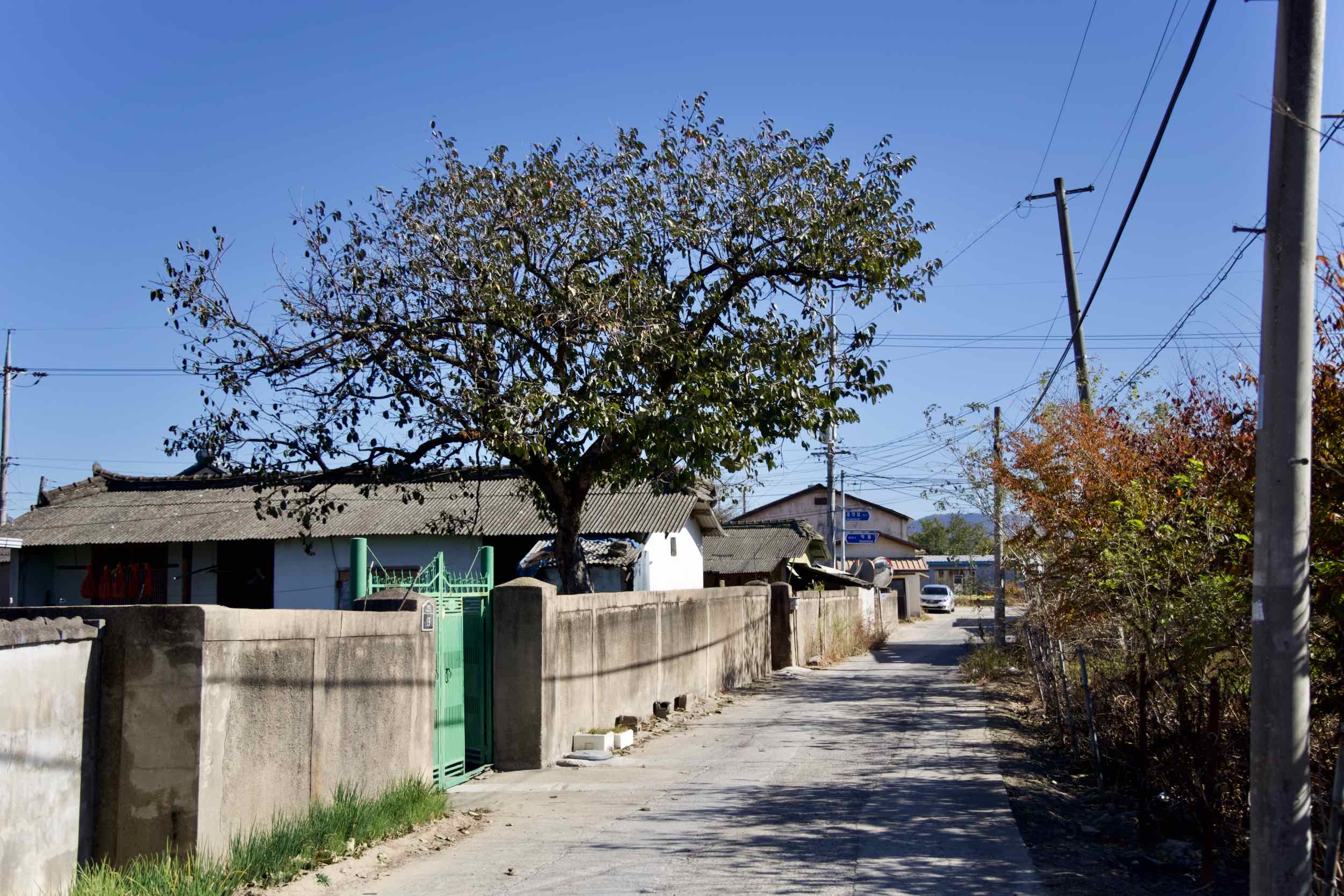 A picture of a farming community on the Nakdonggang Bike Path (낙동강자전거길) in Namji Town, Changnyeong County, South Korea.