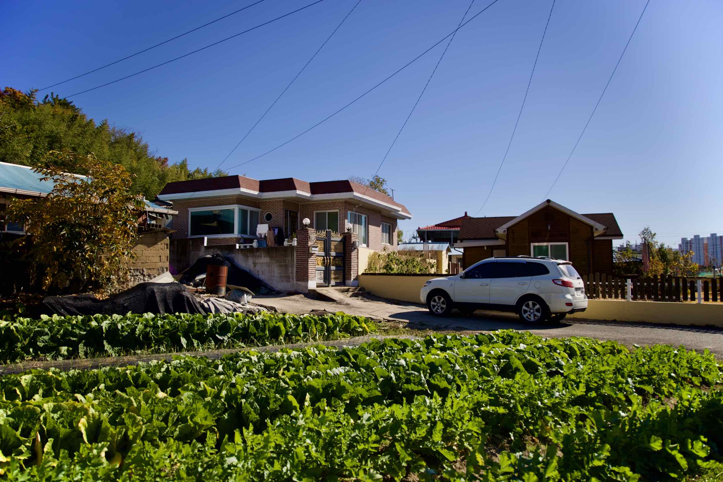 A picture of a farming community on the Nakdonggang Bike Path (낙동강자전거길) in Namji Town, Changnyeong County, South Korea.