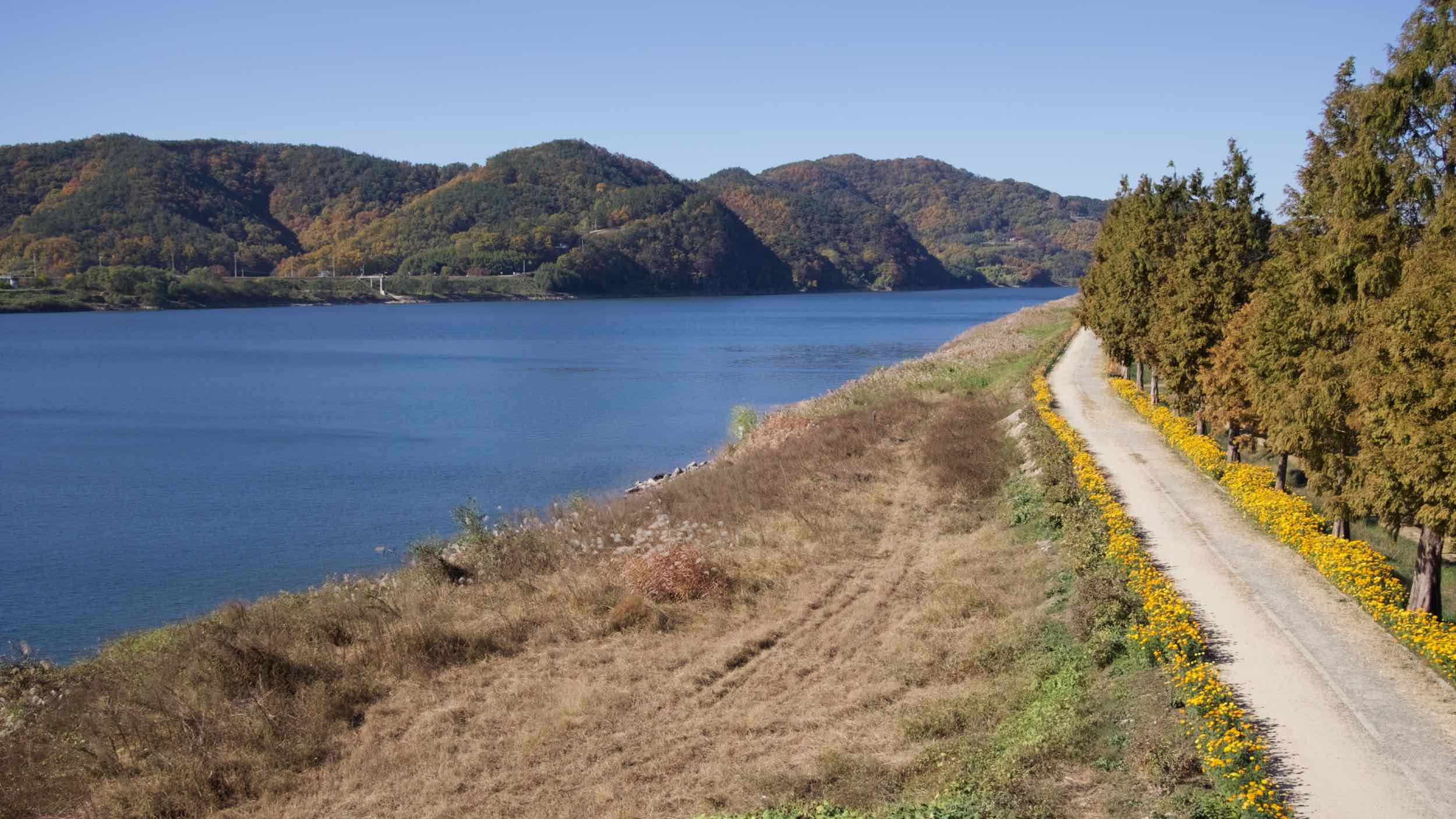 A picture of a riverside park in Namji Town along the Nakdong River in Changnyeong County.