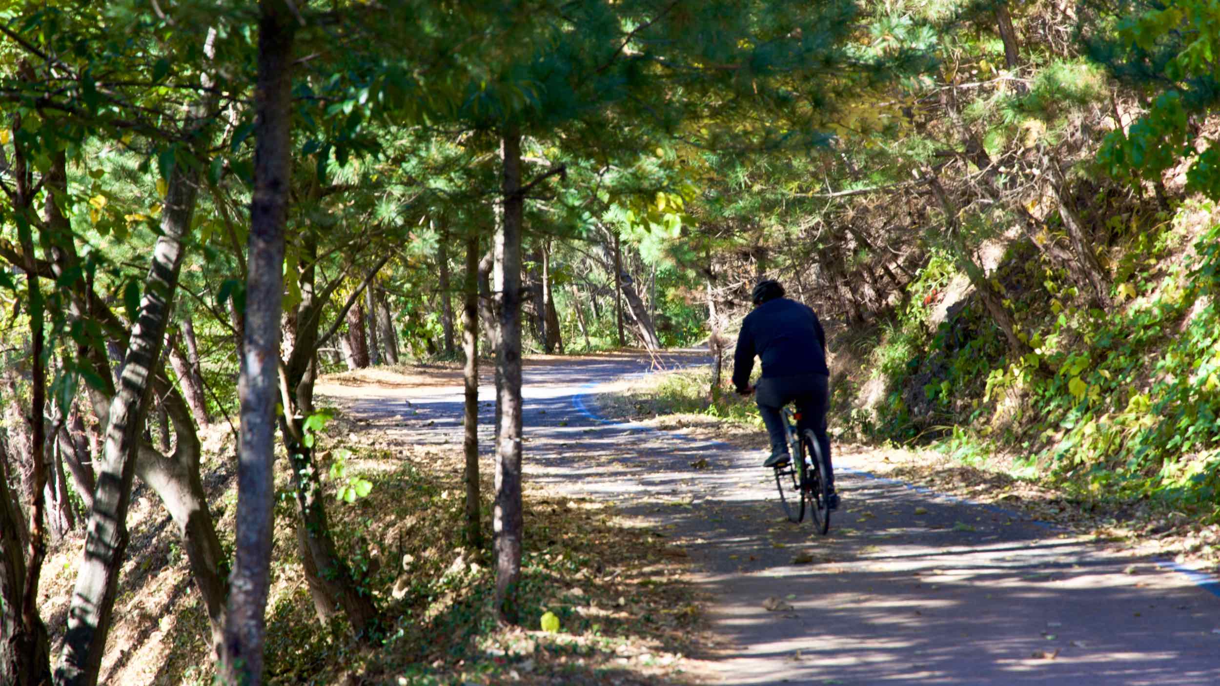 A picture of the Yeongaji (영아지고개) & Angaesil (안개실고개) Passes along the Nakdonggang Bike Path (낙동강자전거길) in Changnyeong County, South Korea.