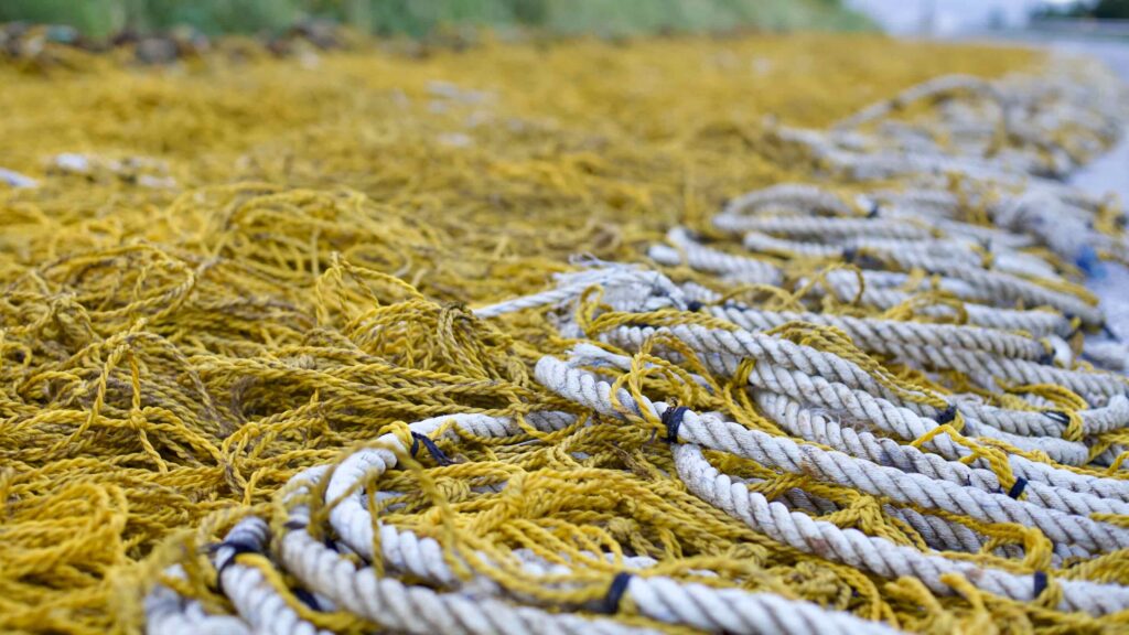 A picture of fishing nets at Hupo Port (후포항) in Uljin County, South Korea.