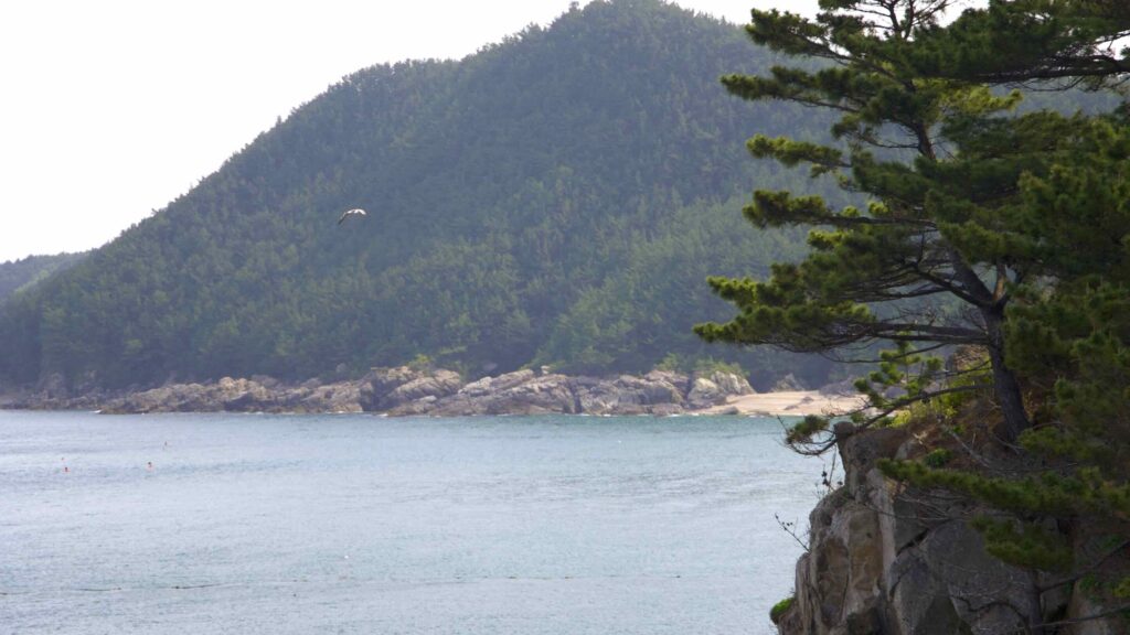 The rocky coast on the north side of Jukdo Mountain in Chuksan Port, Yeongdeok County, South Korea.