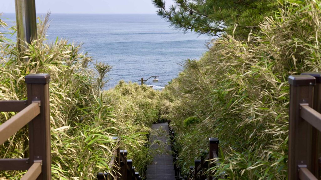 Jukdo Mountain rises 80 meters on the edge of Chukdo Port. Its name, /jūk/ (죽) or “bamboo,” comes from the blanket of bamboo shoots that cover its slopes.