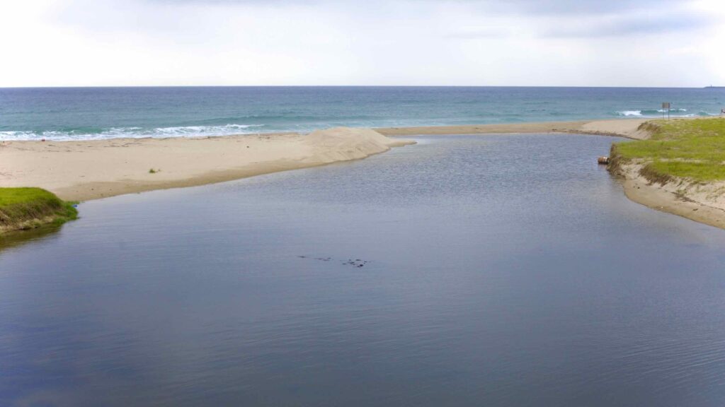 A picture of Daejin Beach (대진해수욕장) in Yeongdeok County, South Korea.