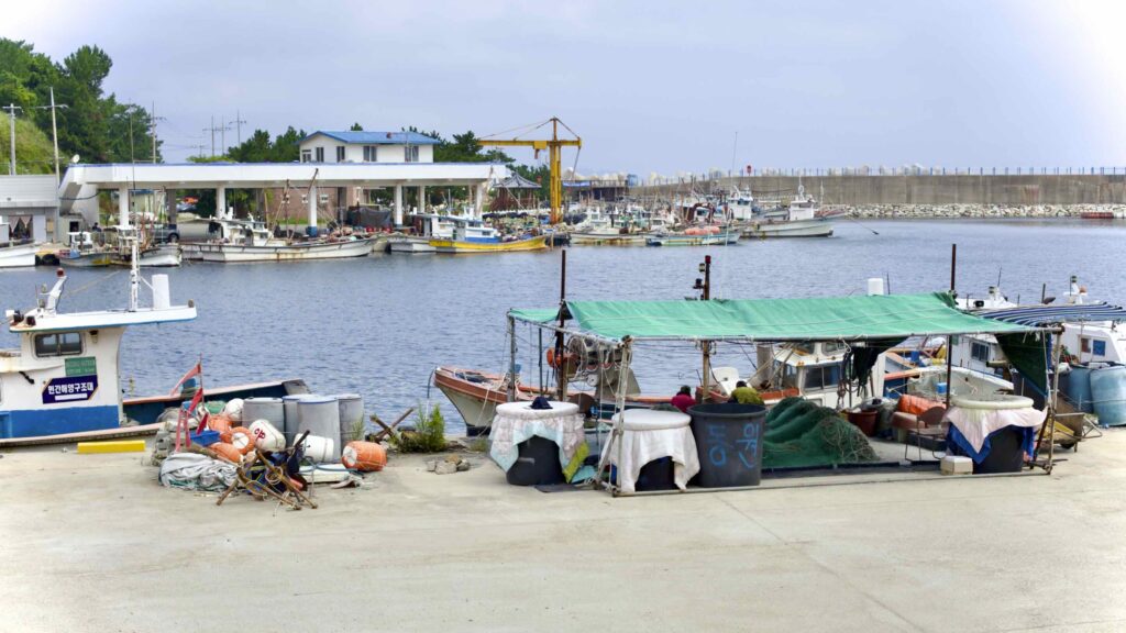 A picture of Daejin Port (대진항) near Chuksan Port, Yeongdeok County, South Korea.