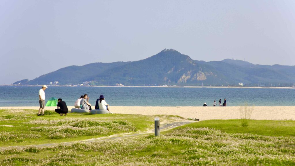 A picture of Goraebul Beach (고래불해수욕장) in Yeongdeok County, South Korea.
