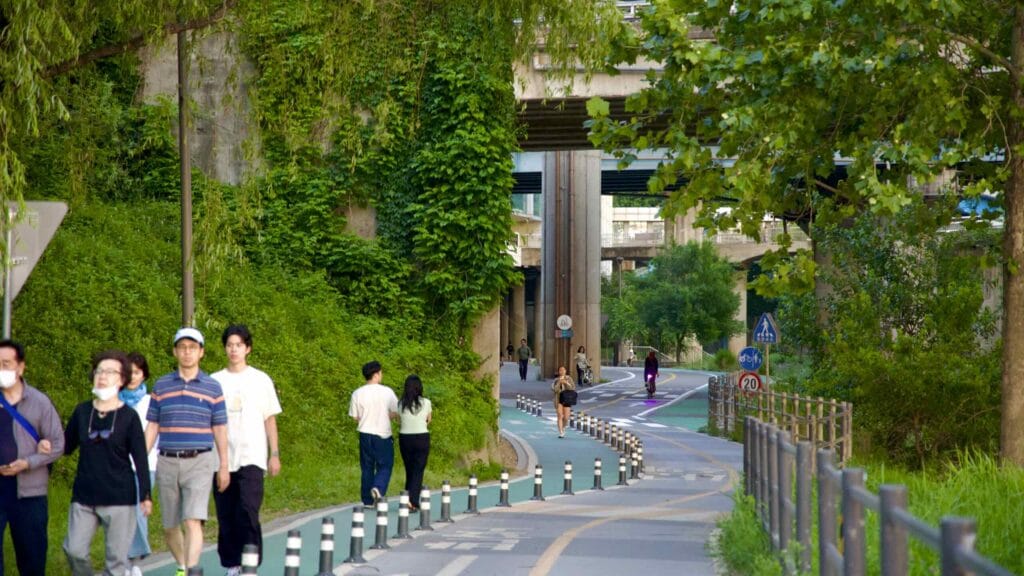 A picture of the Banpo Stream Bike Path (반포천자전거길) near Banpo Hangang Park (반포한강공원) in Seoul, South Korea.