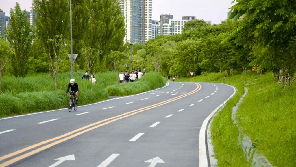 A picture of the cycling path in Banpo Hangang Park (반포한강공원) in Seoul, South Korea.