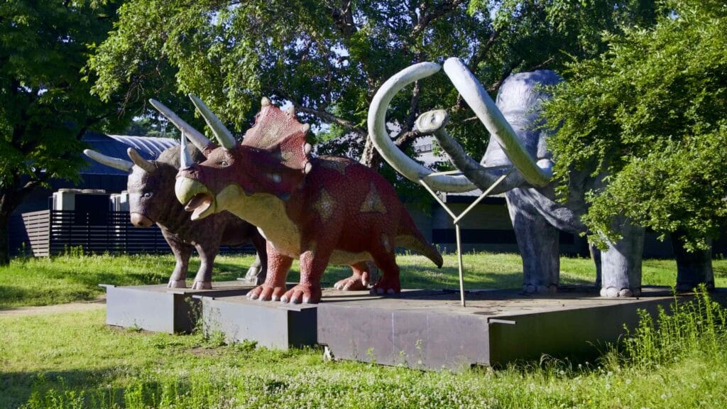 A picture of the Amsa Prehistoric Site (암사선사주거지) near the Gwangnaru Hangang Park (광나루한강공원) in Seoul, South Korea.