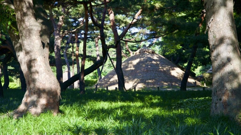 A picture of the Amsa Prehistoric Site (암사선사주거지) near the Gwangnaru Hangang Park (광나루한강공원) in Seoul, South Korea.