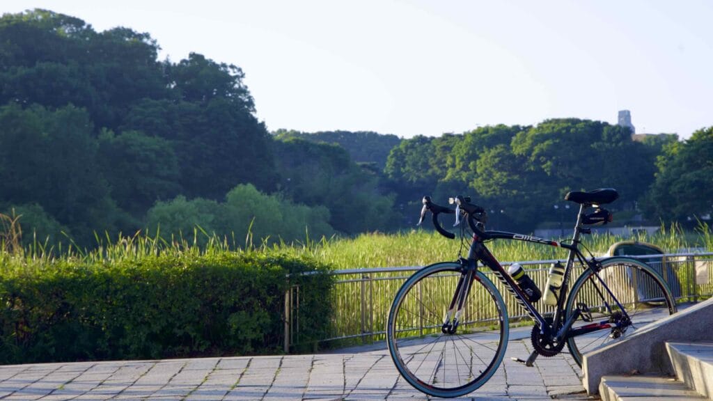 A picture of the Olympic Park (올림픽공원) in the Songpa District in Seoul, South Korea.