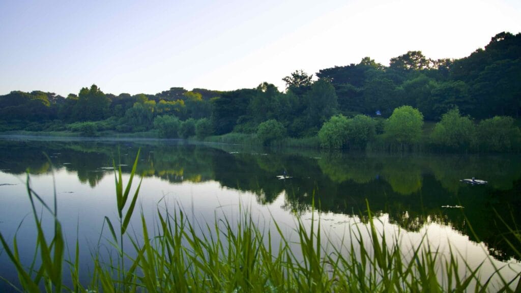 A picture of Mongchon Lake (몽촌호) at Olympic Park (올림픽공원) in the Songpa District in Seoul, South Korea.