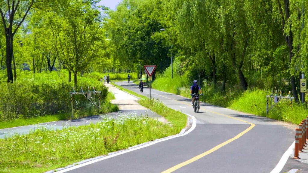 A picture of the bike path near Ipsokpo (입석포) at the mouth of the Jungnang Stream (중랑천) in Ichon Hangang Park (이촌한강공원), in Seoul, South Korea.