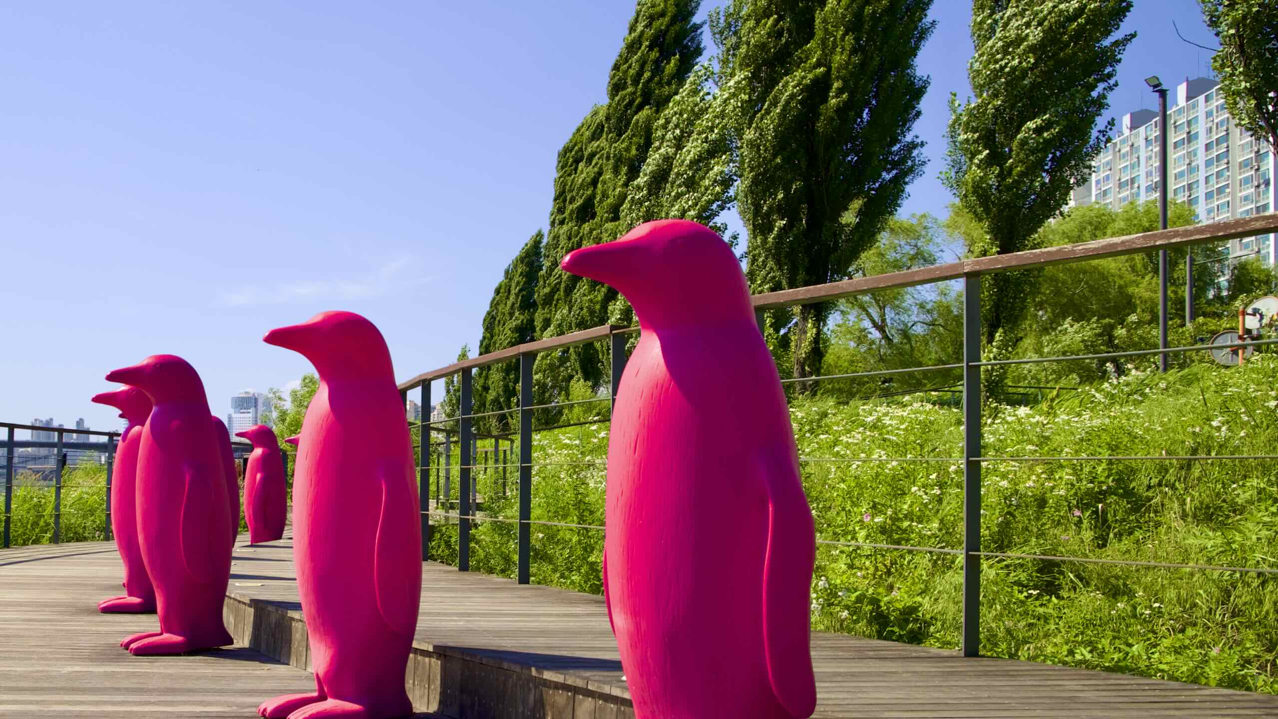 A picture of Hangang Art Park (한강예술공원) in Ichon Hangang Park (이촌한강공원) near the Han River in Seoul, South Korea.