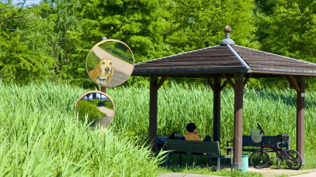 A picture of Hangang Art Park (한강예술공원) in Ichon Hangang Park (이촌한강공원) near the Han River in Seoul, South Korea.