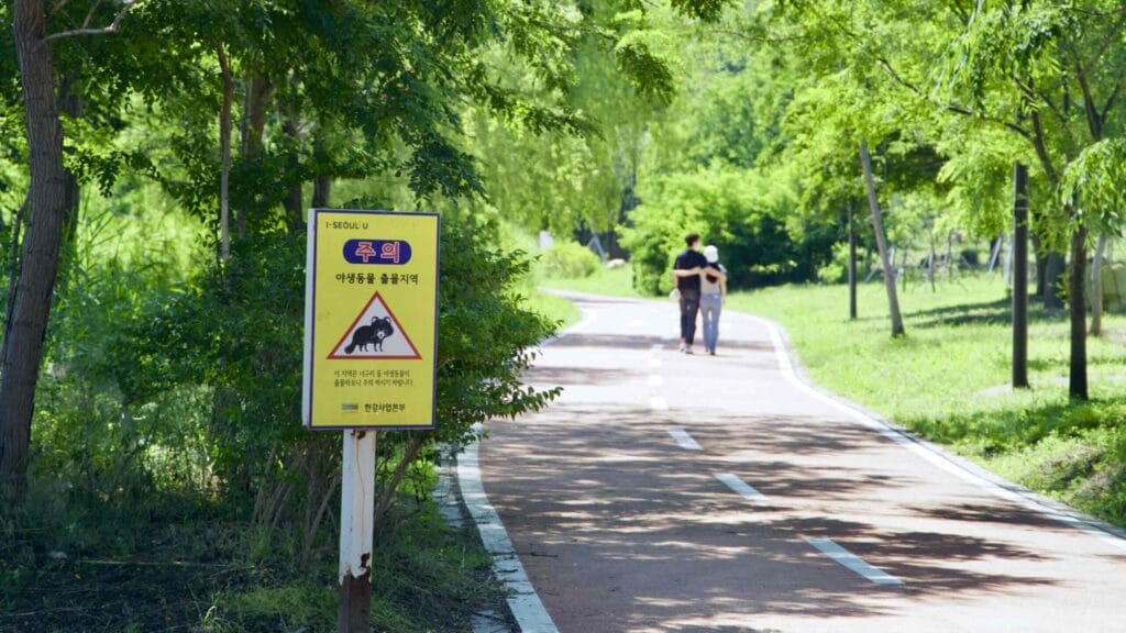 A picture of Ichon Hangang Park (이촌한강공원) in Seoul, South Korea.