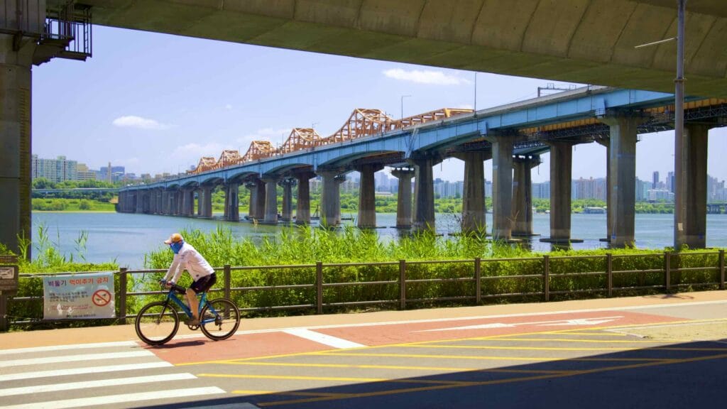 A picture of the bike path under the Gangbyeon Expressway in Ichon Hangang Park (이촌한강공원) in Seoul, South Korea.