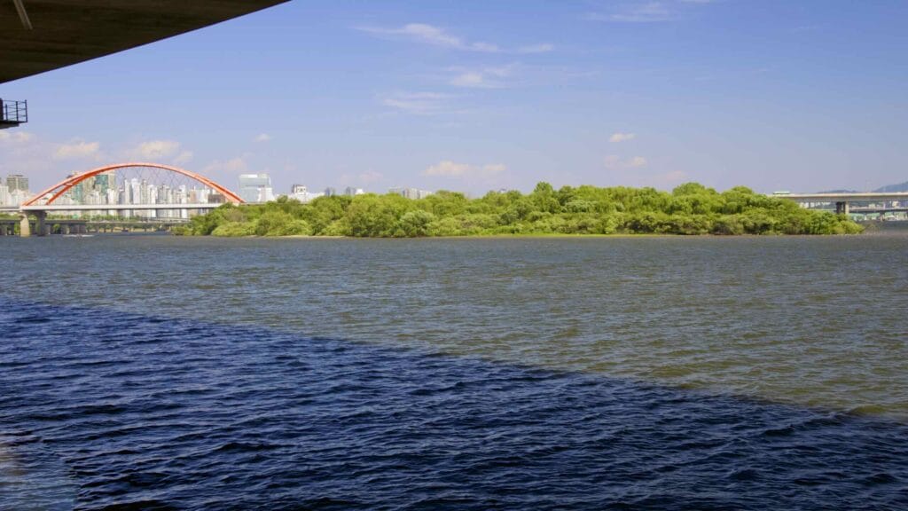 A picture of Bamseom Island (밤섬) and Seogang Bridge (서강대교) on the Han River in Seoul, South Korea.
