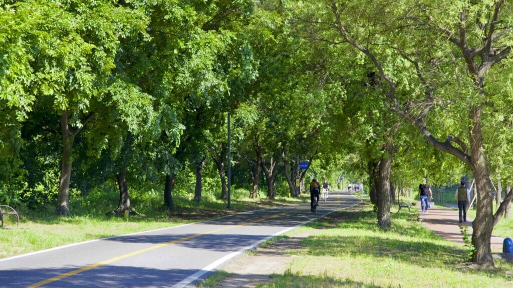 A picture of the bike path in Mangwon Hangang Park (망원한강공원) in Seoul, South Korea.