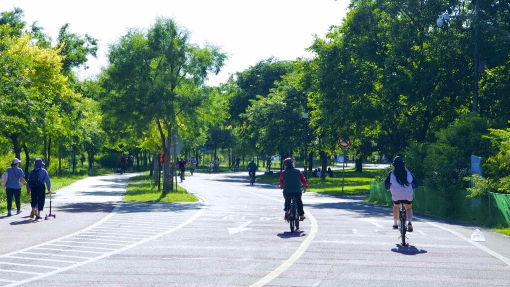 A picture of the bike path in Mangwon Hangang Park (망원한강공원) in Seoul, South Korea.