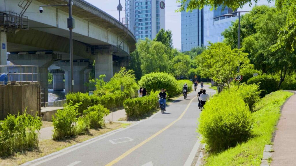 A picture of the bike path in Mangwon Hangang Park (망원한강공원) in Seoul, South Korea.