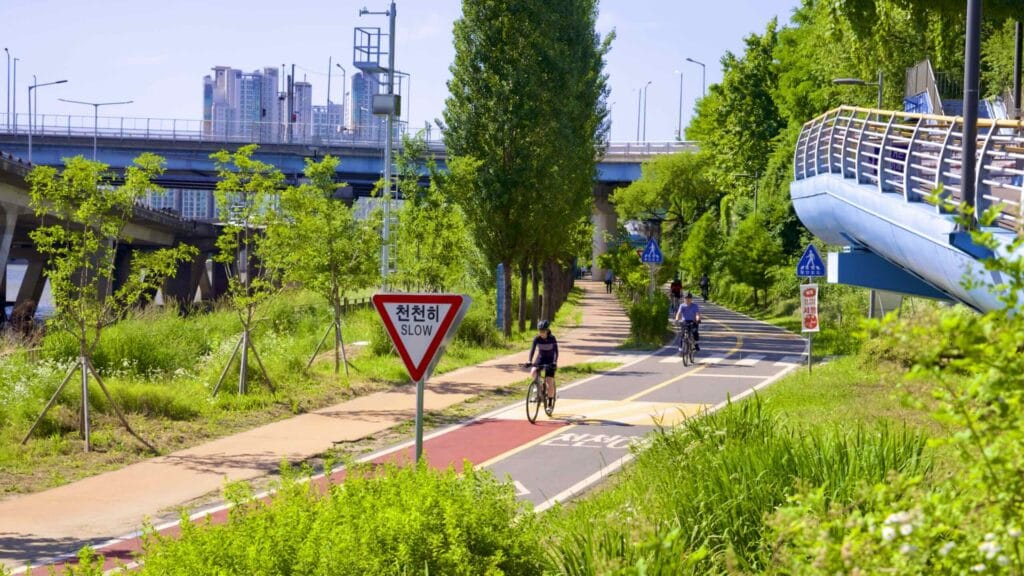 A picture of the bike path in Mangwon Hangang Park (망원한강공원) in Seoul, South Korea.