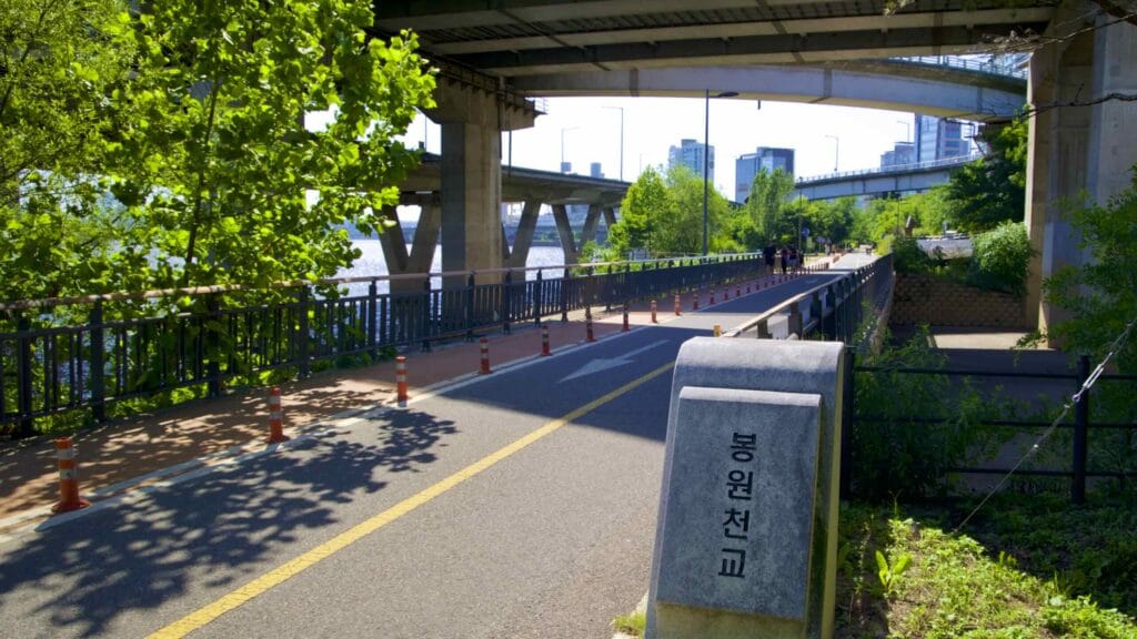 A picture of the bike path in Mangwon Hangang Park (망원한강공원) in Seoul, South Korea.