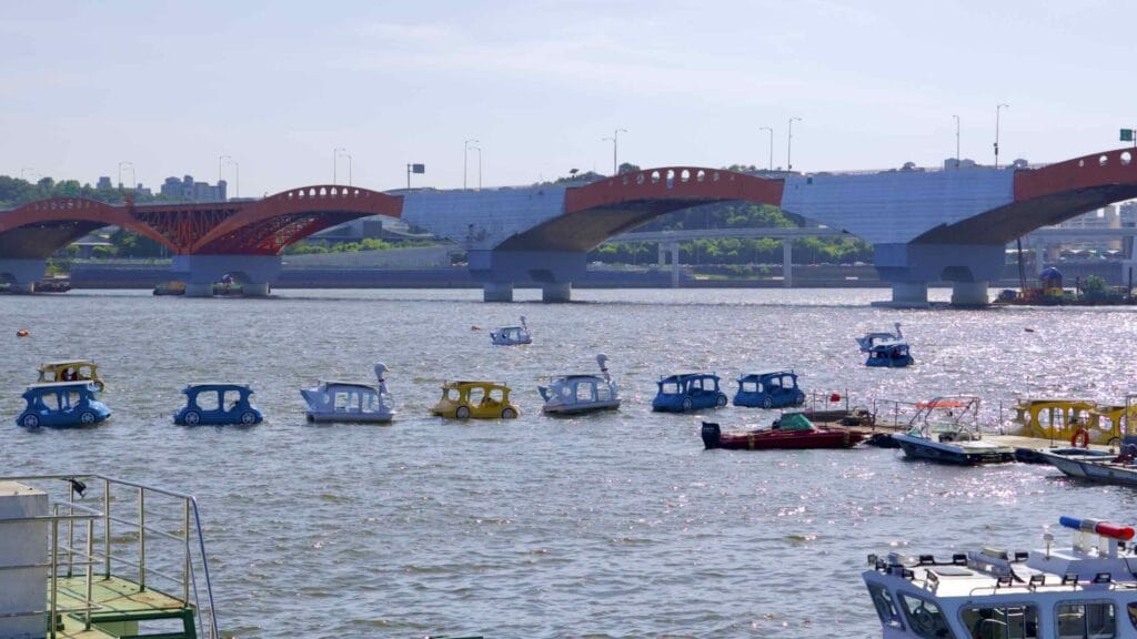 A picture of a swan boats in the Han River near Mangwon Hangang Park (망원한강공원) in Seoul, south Korea.