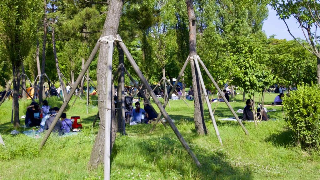 A picture of picnickers in Mangwon Hangang Park (망원한강공원) in Seoul, South Korea.