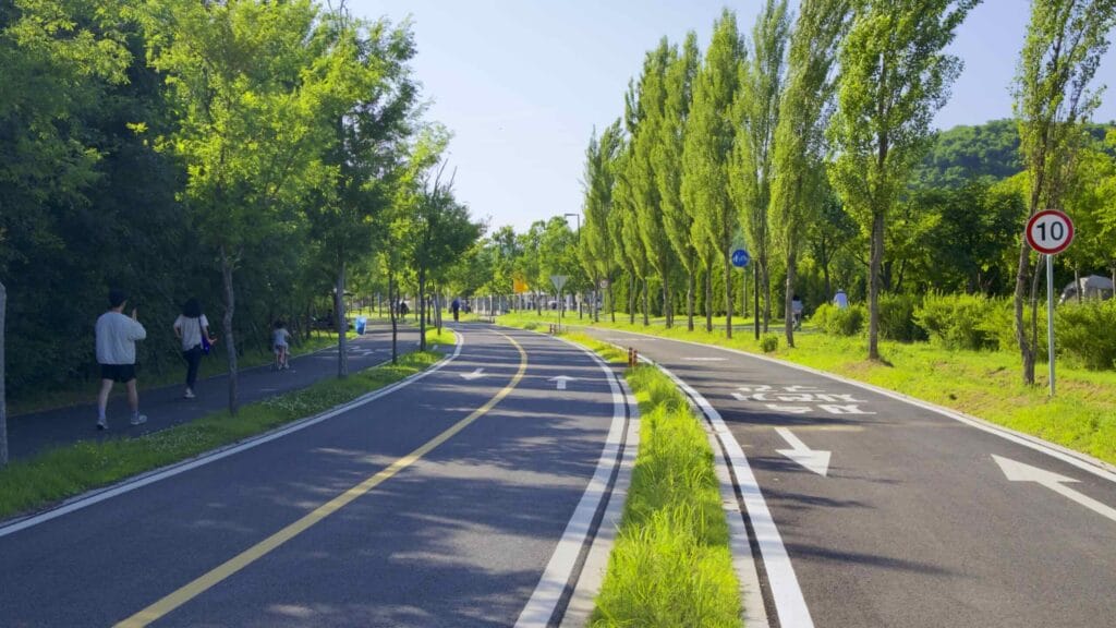 A picture of the bike paths in Nanji Hangang Park (난지한강공원) in Seoul, South Korea.