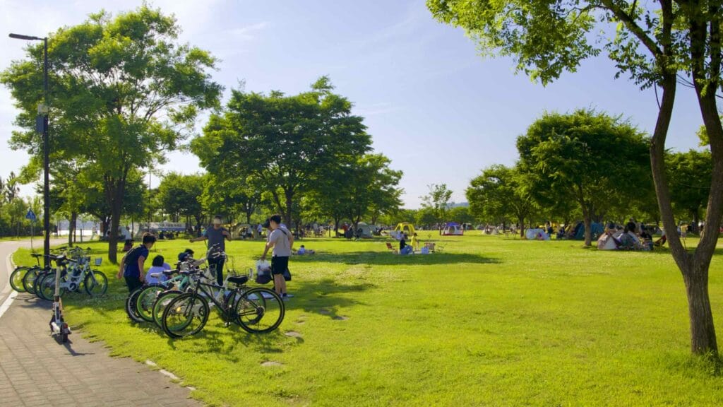 A picture Nanji Hangang Park (난지한강공원) in Seoul, South Korea.