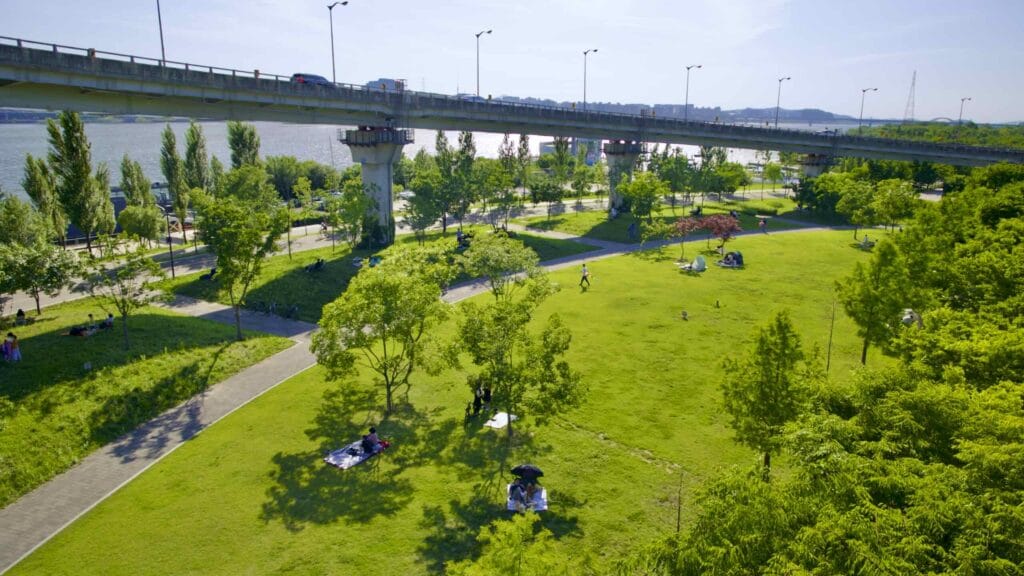 A picture of World Cup Bridge's onramps swirling over Nanji Hangang Park (난지한강공원) in Seoul, South Korea.