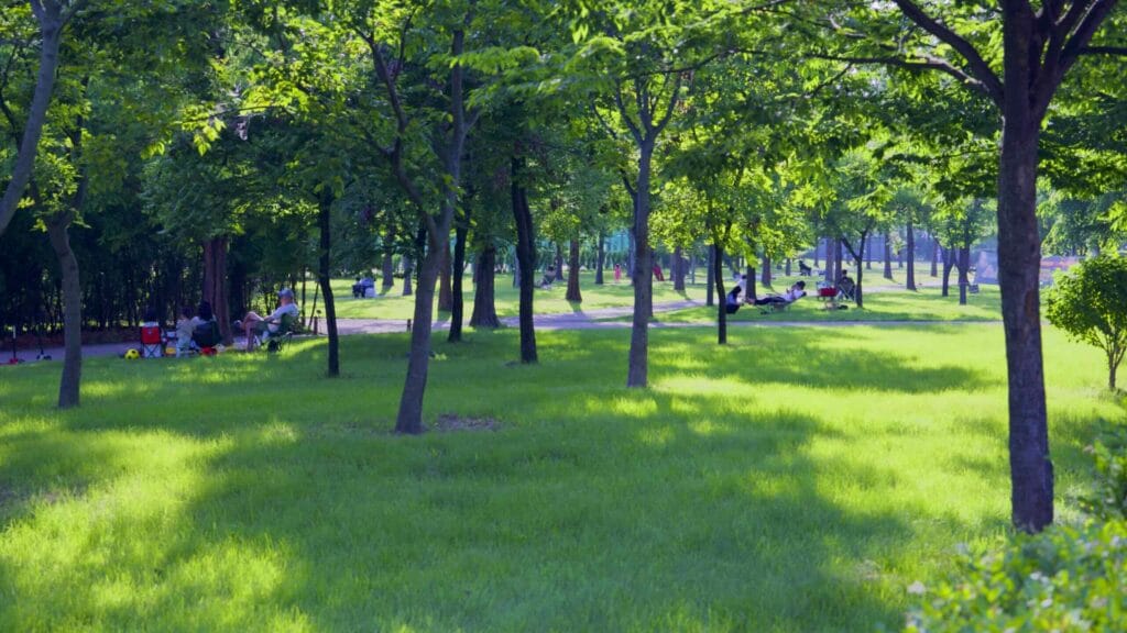 A picture green lawns near Nanji Camping Site (난지캠핑장) in Nanji Hangang Park (난지한강공원) in Seoul, South Korea.