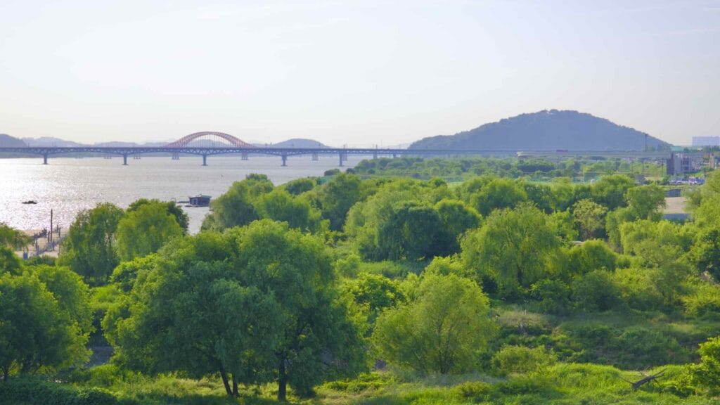 A picture of Nanji Eco Park and Banghwa Bridge (방화대교) in Seoul, South Korea.