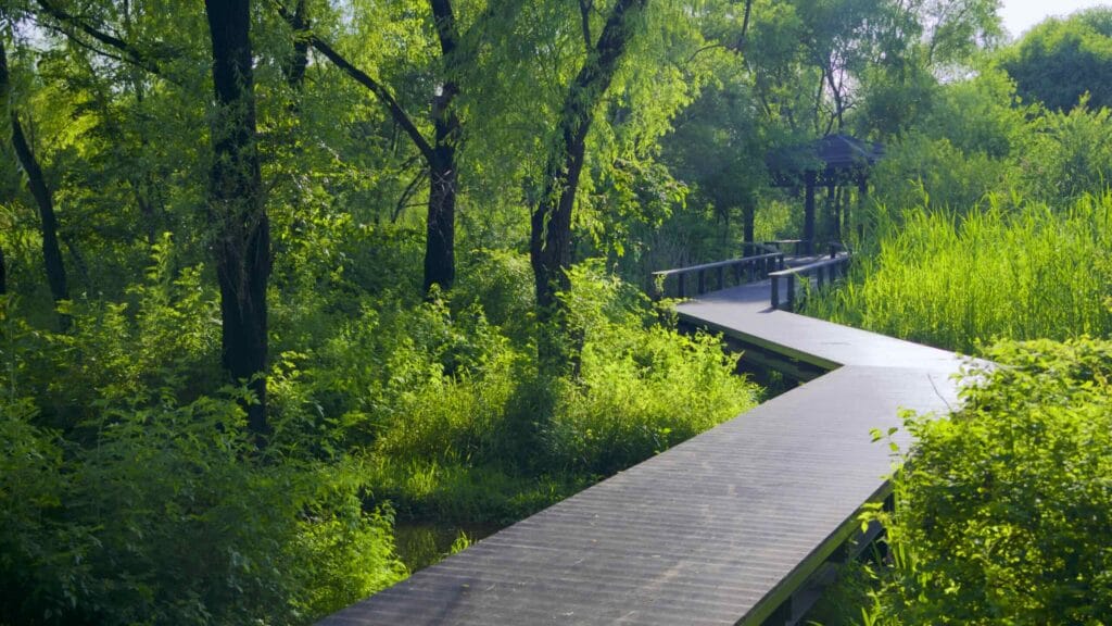 A picture of ecological parks in Nanji Hangang Park (난지한강공원) in Seoul, South Korea.