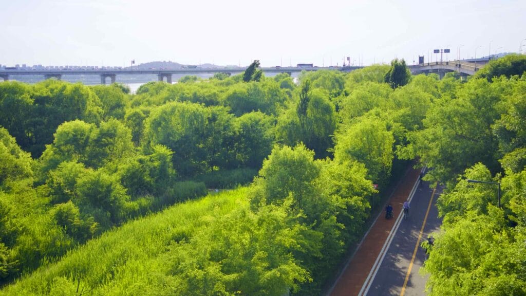 A picture of ecological parks in Nanji Hangang Park (난지한강공원) in Seoul, South Korea.