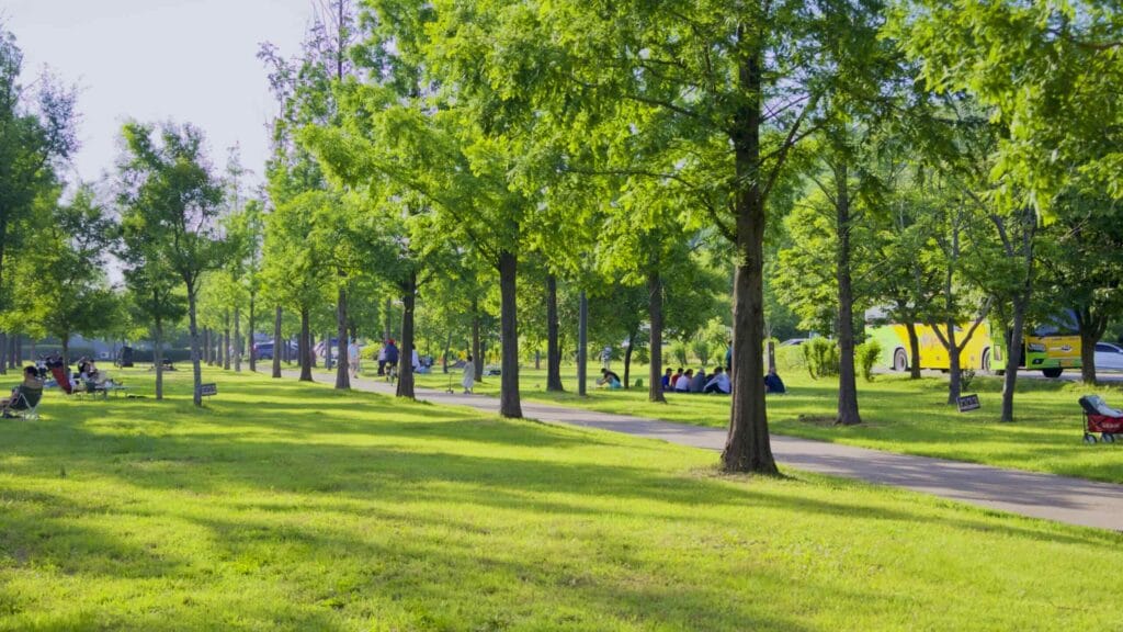 A picture of Nanji Hangang Park (난지한강공원) in Seoul, South Korea.