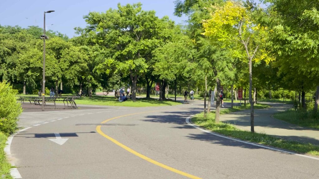 Wide bike and walking paths curl around lawns in the east side of Nanji Hangang Park.