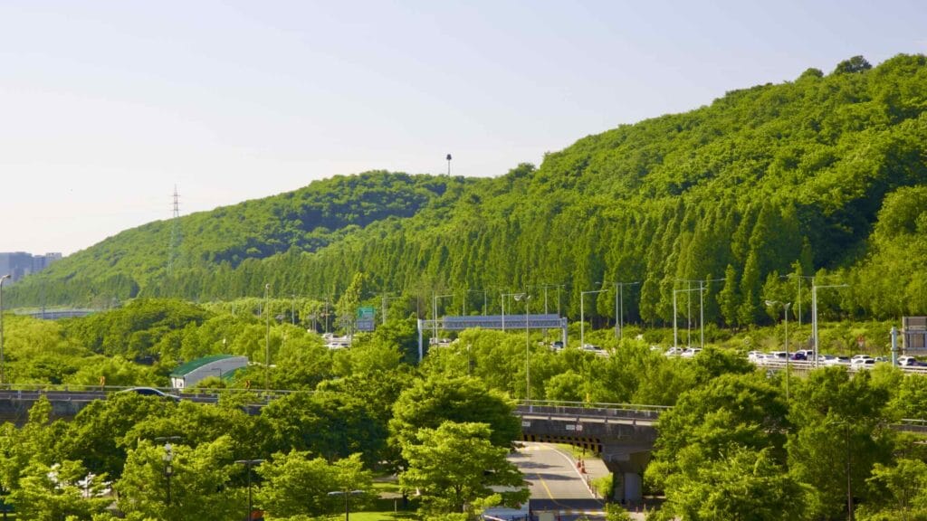 A picture of Haneul Park and Noeul Park in World Cup Park (월드컵공원) in Seoul, South Korea.