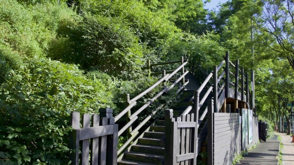 A picture of a staricase leading up to Haneul Park in World Cup Park (월드컵공원) in Seoul, South Korea.