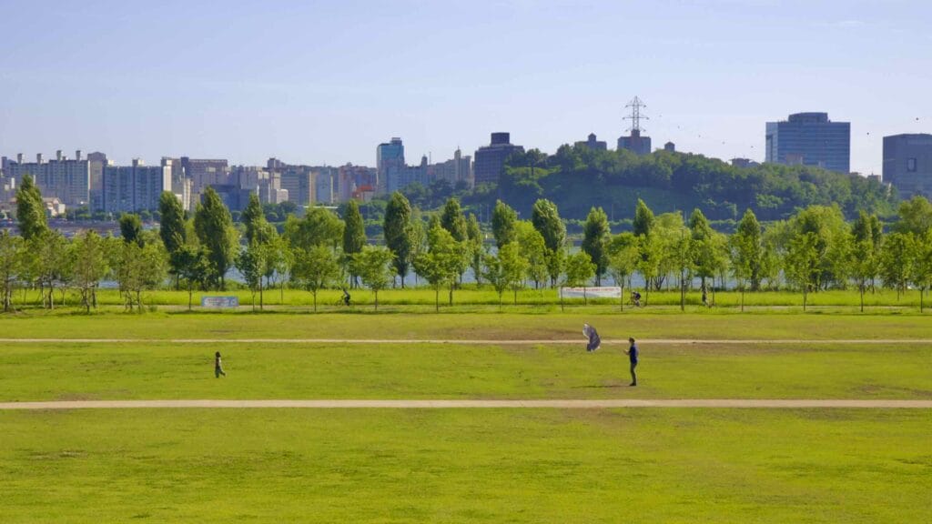 A picture of Nanji Hangang Park (난지한강공원) in Seoul, South Korea.