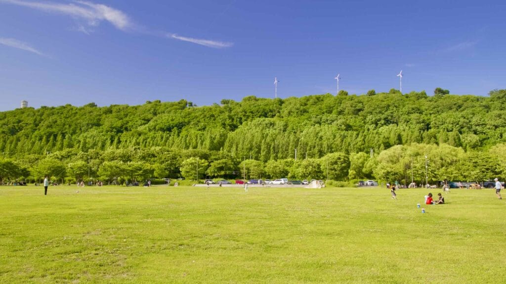 A picture of Haneul Park in World Cup Park (월드컵공원) in Seoul, South Korea.