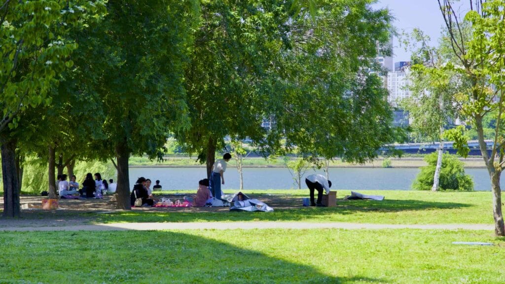A picture of picnickers in Ttukseom Hangang Park (뚝섬한강공원), in Seoul, South Korea.
