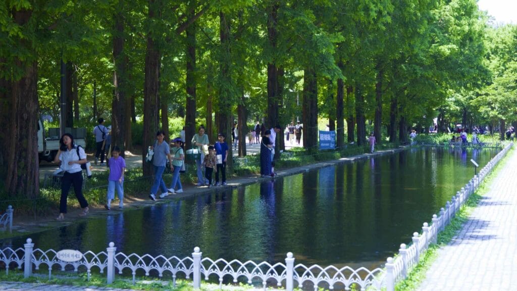 A picture of Seoul Forest (서울숲) near Ttukseom Hangang Park (뚝섬한강공원) in the Seongsu Neighborhood (성수동) in Seoul, South Korea.