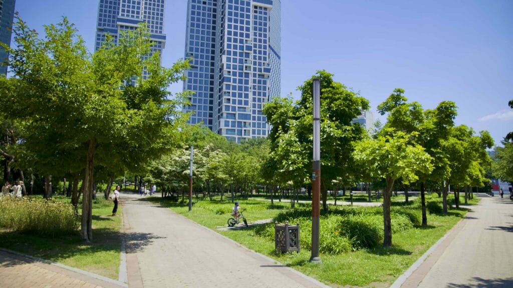 A picture of Seoul Forest (서울숲) near Ttukseom Hangang Park (뚝섬한강공원) in the Seongsu Neighborhood (성수동) in Seoul, South Korea.